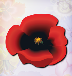 Red Poppy