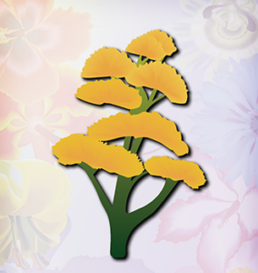 Yellow Dagger Log Flower