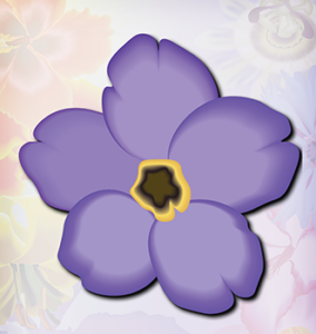 Forget Me Not flower