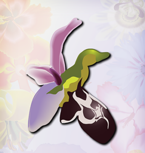 Khari Bulbul flower