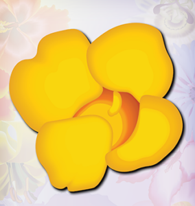 Yellow Elder Flower