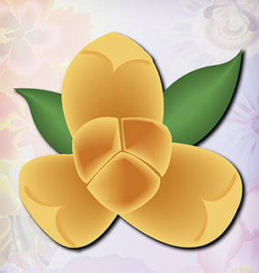 Yellow Romduol Flower