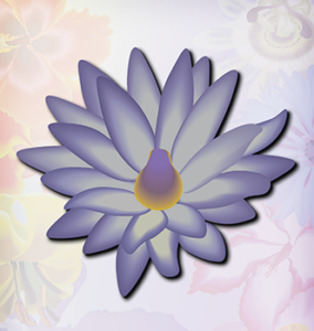 Purple Water Lily Flower