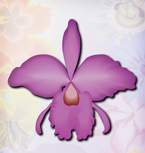 Purple Corsage Orchid Flower
