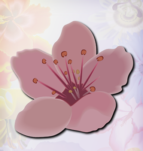 Red Stinkwood dark pink flower