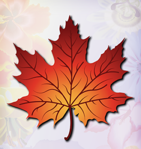 Maple Leaf in orange and brown tones