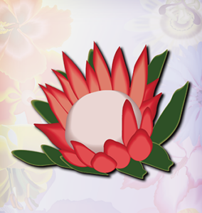 King Protea