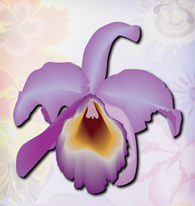 Guaria Morada purple flower