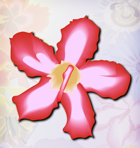pink flower