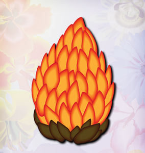 orange flower with layered buds