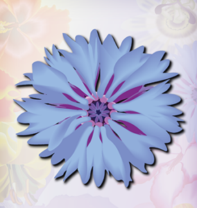 blue purple flower
