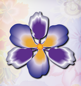 Purple and orange flower