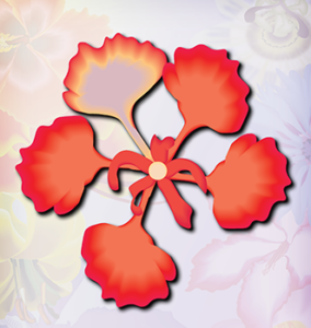 Red flower
