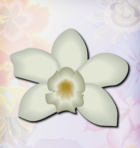 white flower